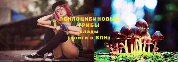 дурь Горнозаводск