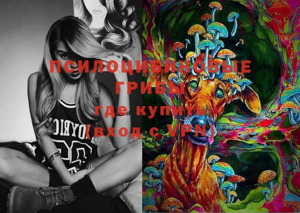 твердый Горно-Алтайск