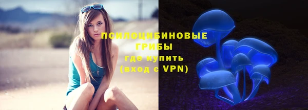 твердый Горно-Алтайск