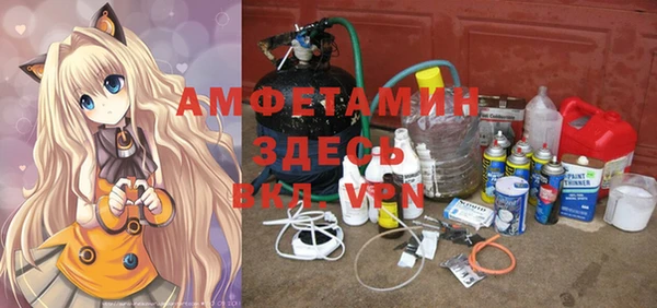 гашик Вяземский