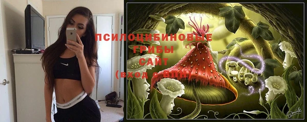 дурь Горнозаводск