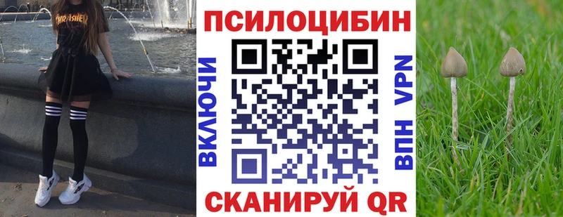Псилоцибиновые грибы Cubensis  Магнитогорск 